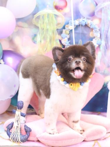 20240827太郎くん